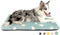 Mora Pets Dog Crate Pad - Dog Bed Mat for Medium Large Dogs, Washable Thin Pet Kennel Pad for 36 inch Cage, Ultra Soft