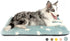 Mora Pets Dog Crate Pad - Dog Bed Mat for Medium Large Dogs, Washable Thin Pet Kennel Pad for 36 inch Cage, Ultra Soft