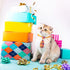 90 Pack Pet Bow Ties and Collar Bows, Adjustable Dog Cat Bowties and Bowknots, Cute Fashionable Design for Small and