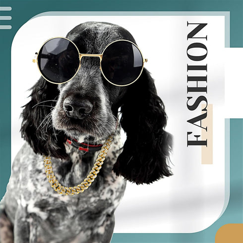 Xuniea 2 Pieces Cat Dog Chain Collar and Sunglasses Set, Rhinestone Collar with Secure Buckle, Round Glasses (Gold,