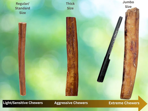 1 (6) (16 oz) 100% (6 inch, 1 lb) Regular Pound of Bully Sticks for Medium, Small Dogs & Puppies, for Sensitive