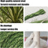 Natural Sisal Rope for Cat Scratcher, 1/4 Inch 164FT Multi Color Replacement Rope