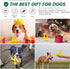Indestructible Dog Chew Toys for Aggressive Chewers, Durable Cleaning Toothbrush Natural Rubber Bones Toy (Yellow)