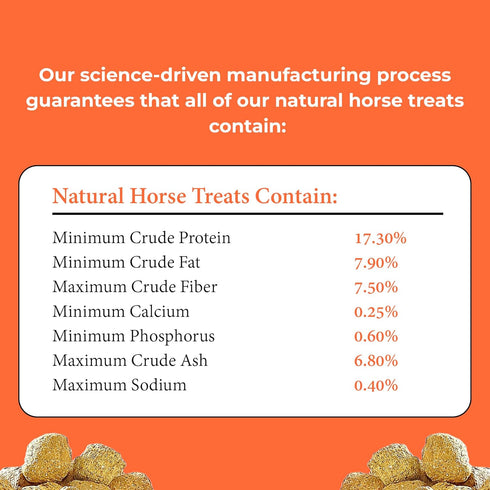 5 (1 Pack) Kelcies Pumpkin Spice Horses Treats - Low Sugar, Starch, and Carbohydrates | Healthy Treats for Horse