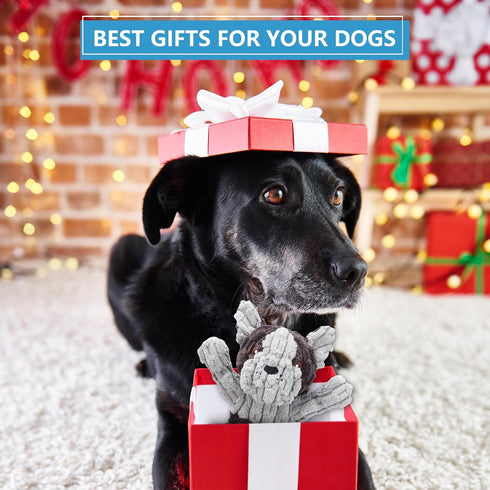 Plush Dog Squeak Toys with Crinkle Paper, Interactive Tug of War Toy, Great for Dental Health, Small, Medium, Large Dogs