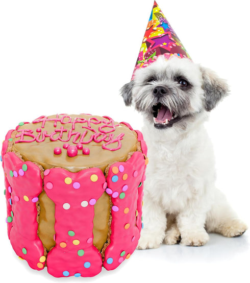 Dog Birthday Cake for Dogs - Rice Cake Based Dessert Made with Dog Treats and Human Grade Ingredients - Happy Birthday