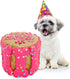 Dog Birthday Cake for Dogs - Rice Cake Based Dessert Made with Dog Treats and Human Grade Ingredients - Happy Birthday