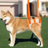 Dog Sling for Back Legs | Adjustable Auxiliary Belt for Small Medium Large Dogs (S)