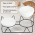 Elevated Tilted Cat Bowls for Indoor Cats, Raised 15° Ceramic Cat Bowl for Food and Water, Anti Vomiting Bowl (Double