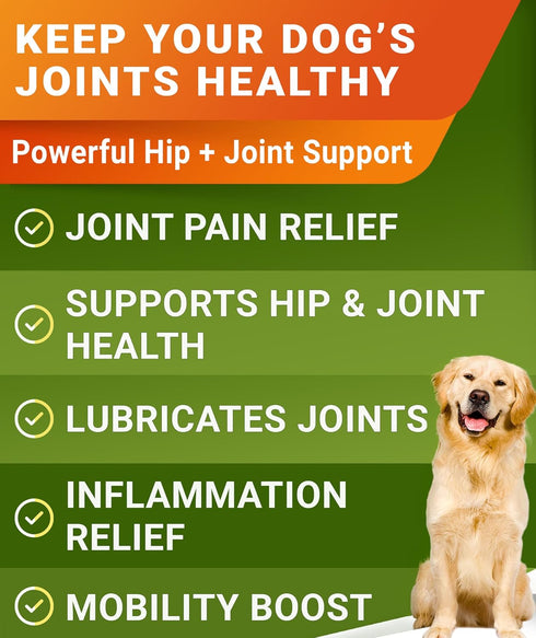 w/Omega-3 120 Glucosamine Treats for Dogs - Joint Supplement Fish Oil - Chondroitin, MSM - Advanced Mobility Chews
