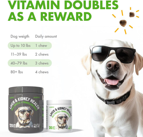Immunity 120 Liver & Kidney Support for Dogs Detox Natural Supplement with Milk Thistle Dandelion Root Turmeric