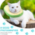 Frienda 2 Pieces Adjustable Cat Cone, Recovery Collar for Kittens After Surgery, Elizabethan Donut Neck Cone with Edge