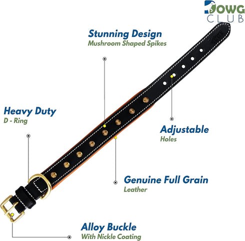 Genuine Leather Spike Dog Collar, 1" Wide, Full Grain Heavy Duty, Comfortable Inner Padded for Small Breeds (S, Fit