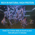 Brine Shrimp Fish Food, Ready to Use Aquarium Fish Food, Non-Living Instant Food for Betta Saltwater Marine Freshwater