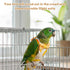 ZHLKHIOP 5-Piece Set Bird Diaper, Parrot Diaper, with Peach, Orange, Watermelon, Banana, Kiwi Designs, Comfortable Fit