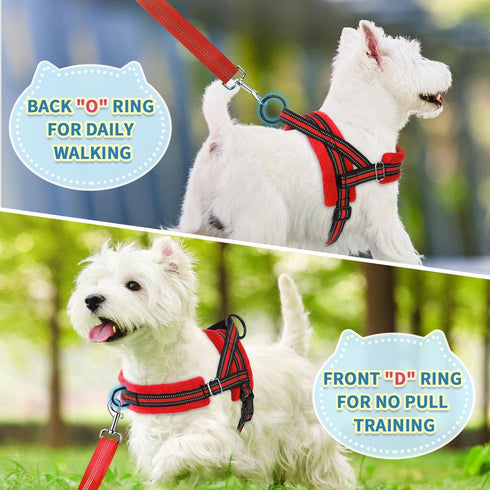 SlowTon No Pull Small Dog Harness & Leash Set, Adjustable Soft Vest Harness for Small Medium Dogs (R-Front Clip, S)