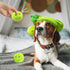 Hide and Seek Dog Toys - Squeaky Interactive Puzzle Toys for Boredom, Pack of 3 for Small and Medium Dogs