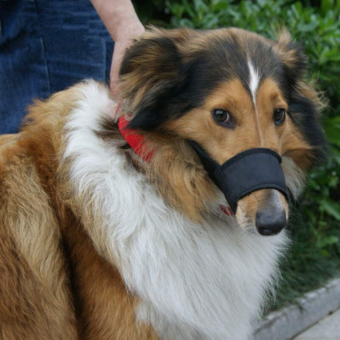 Dog Muzzles Suit, 7PCS Adjustable Quick Fit Muzzles for Small Medium Large Dogs, Blue