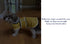 Dachshund Raincoat - Waterproof Corgi Raincoat for Dachshunds, Weiner Long Back Breeds with Reflective Stripe, Great