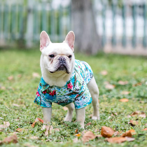 EXPAWLORER Dog Hawaiian Shirt, Summer Clothes, Breathable Polo T-Shirts with Floral and Sea Island Pattern