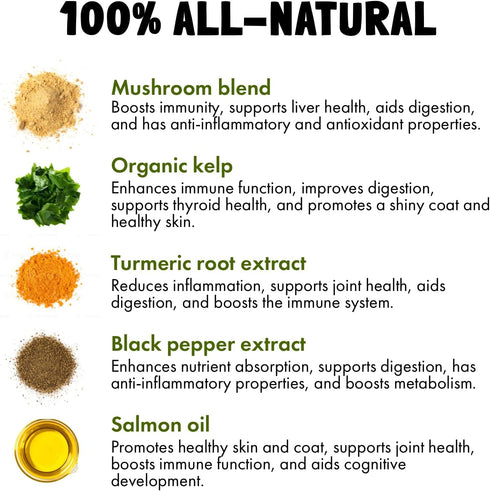 Immune Inflammation (120pcs) Mushroom Complex Treats for Dogs with Reishi, Shiitake, and Turkey Tail Mushrooms