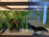 AT-AT Walker Aquarium Decorations - Cool Fish Tank Decor for Betta Fish Hide Cave Ornament
