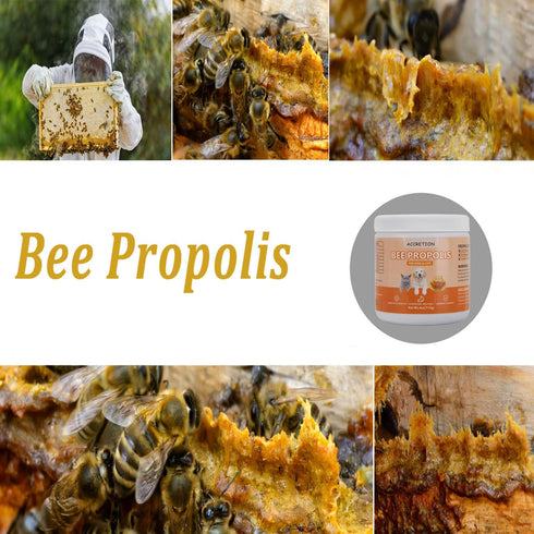 Accretion 4oz, Immunity Immune Bee Propolis for Dogs and Cats, Dental Defense & Respiratory Health, Supports Seasonal