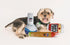 3 Pack Baja Ponchos Friendly Vibes Dog Plush Chew Toys - Funny Squeak Toys - Dog Gifts