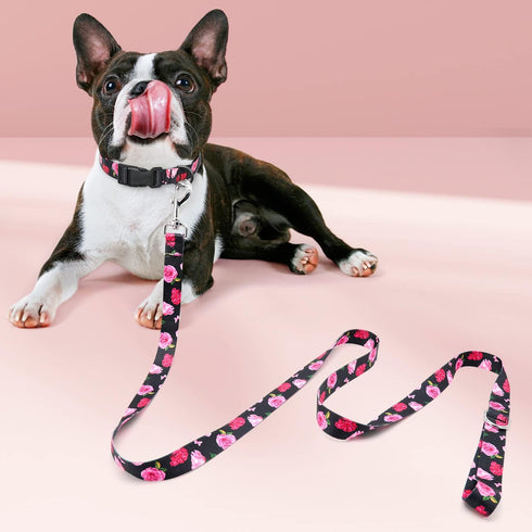 5 ft Black Dog Leash for Medium Breed Dogs, Girl