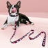 5 ft Black Dog Leash for Medium Breed Dogs, Girl