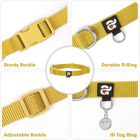 Azuza Nylon Fall Dog Collar and Leash Set, Strong Basic Style Leash with Easy Collar Hook, Ginger Yellow, XS
