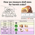 4 Set (2.5"-4" 1"-1.5" Shell Hermit Crab Assorted for Medium to Large Hermit Crabs Size / Opening)