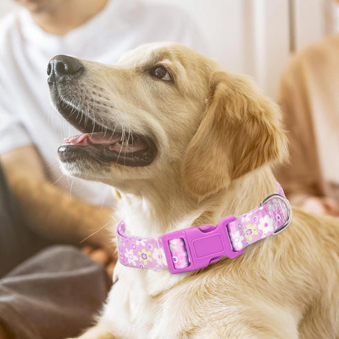 Girl Dog Collar with Purple Floral Patterns, Adjustable Cute Soft Collar with Quick Release Buckle for Small Medium