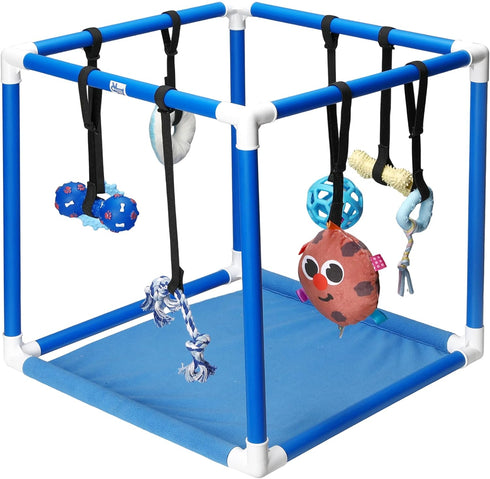 8 19.5" Set Race&Herd Puppy Play Gym, Dog Play Mat, Bungee Straps Interactive Puppy Active Toys - Small Dog Jungle Gym