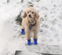 YAODHAOD Dog Shoes for Hot Pavement, Anti-Slip Sole Dog Boots & Paw Protector for Small Medium Dogs, 4PCS (Blue, Size: