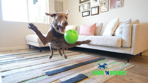 The Outdoor Optimist Bark N Bounce Interactive Dog Toys, 6.5in Ball for Large Dogs