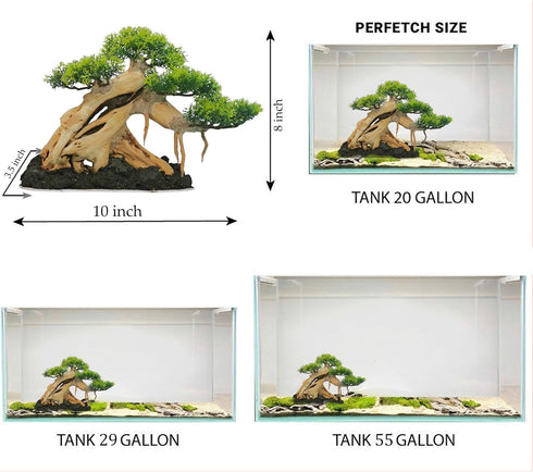 10 Azil Aquascape Bonsai Driftwood Tree Premium Natural Aquarium Decor for Fish Tanks, Freshwater Aquariums, Hardscape
