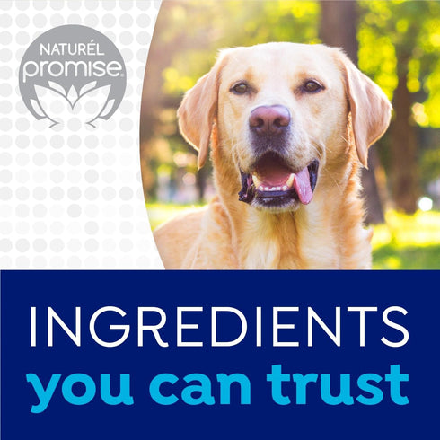 Naturel Promise Fresh Dental Toothbrush and Toothpaste Kit for Dogs - Teeth Cleaning Kit for Plaque & Tartar Removal