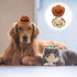 Hemobllo Dog Hat, Adjustable Straw Western Costume Hat for Dogs and Cats, Funny Pet Party Headwear (2PCS)