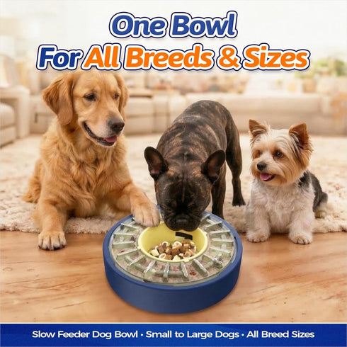 5-60 4-Cup KADTC Min Adjustable Slow Feeder Bowl for Fast Eaters, Spinning Dog Puzzle Feeder, Anti-Gulping Interactive