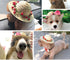 NACOCO Cat Hat Sunflower Straw Hat, Handcrafted Rose Sun Cap Accessories for Small Dogs and Cats (M, Pink)