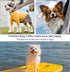 LOVPE Dog Collar Bling Leather - Studded Diamonds Glamorous Rhinestone Gold Buckle Accessory for Small to Medium Dogs,