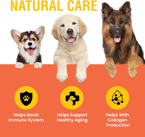 Immune Immune 2oz Vitamin C for Dogs, Helps Support System, Vitamin C Liquid Supplement, Dog Booster, Bacon Flavored