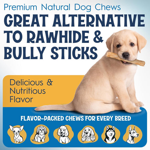 12" 10 Pack Collagen Sticks for Dogs Low Odor Long-Lasting Bully Stick & Rawhide Alternative, Single Ingredient Beef