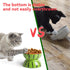 Hamiledyi 5In Elevated Wide Ceramic Cat Bowl for Food and Water, Anti Vomiting Tilted Pet Feeder Dish (Watermelon)