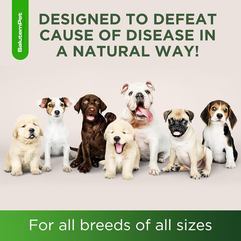 Natural Antibiotics for Dogs | 2 Oz Dog Antibiotics with Natural Ingredients | Effective Antibiotic for Dogs