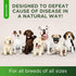 Natural Antibiotics for Dogs | 2 Oz Dog Antibiotics with Natural Ingredients | Effective Antibiotic for Dogs