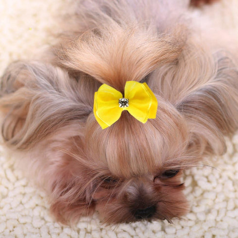 YOY 40pcs / 20 Pairs Adorable Grosgrain Ribbon Pet Dog Hair Bows - Rubber Bands for Puppy Topknot Cat Kitty Doggy