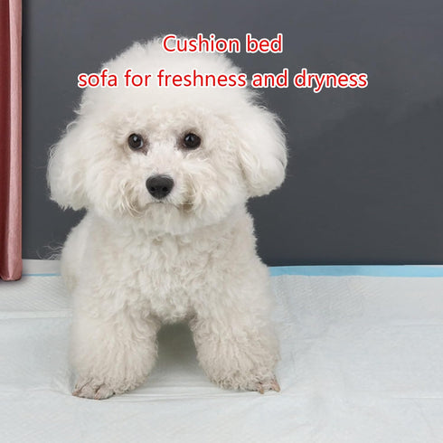 YWLUUOO Pack Pee Pads for Dogs Disposable Dog Floor Mat Leak-Proof Dog Pad Great Absorbency Quick-Dry Puppy Potty