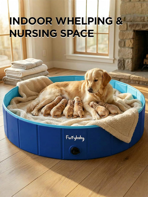 Swimming 39'') Furrybaby Dog Pool, Kiddie Pool with Hard Plastic Foldable Dog Bath Tub Portable for Dogs, Kids and Pet